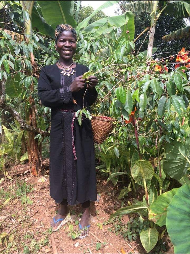 Supporting Cameroonian Coffee Industry and Protecting the Environment PHOTO 2020 04 21 20 29 27 1