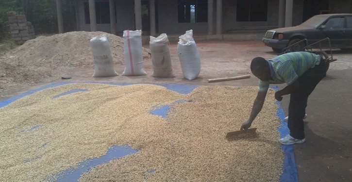 Home drying parchment2